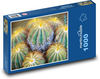 Kaktus - exotika, rostlina - Puzzle 1000 dílků, rozměr 60x46 cm
