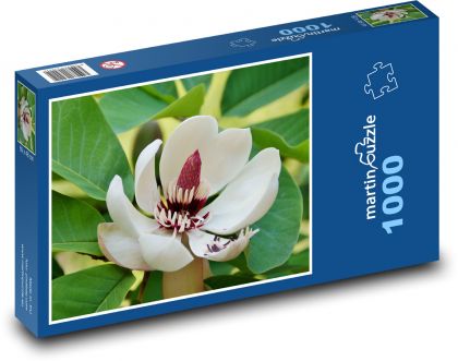 Magnolie - Zierbaum, Blume - Puzzle - 1000 Teile