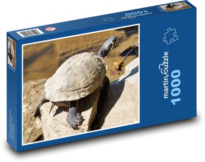Water turtle - animal, pond - Puzzle 1000 pieces, size 60x46 cm 