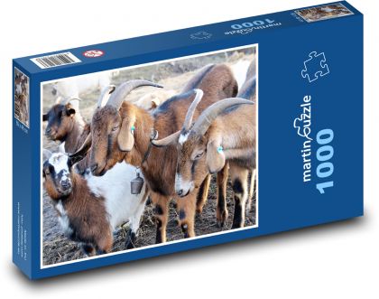 Ziegen - Bauernhof, Tiere - Puzzle - 1000 Teile