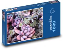 Succulents - cacti, flowers Puzzle 1000 pieces - 60 x 46 cm 