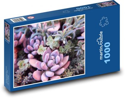 Succulents - cacti, flowers - Puzzle 1000 pieces, size 60x46 cm 