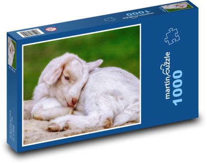 Goat - lamb, cub - Puzzle 1000 pieces, size 60x46 cm 