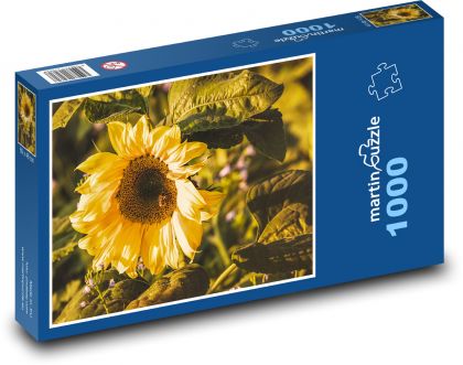 Slnečnica - žltý kvet, okvetné lístky - Puzzle 1000 dielikov, rozmer 60x46 cm