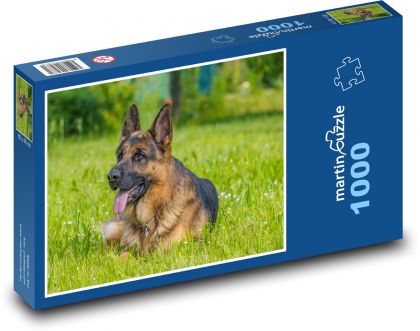 Owczarek niemiecki - pies, łąka - Puzzle 1000 elementów, rozmiar 60x46 cm