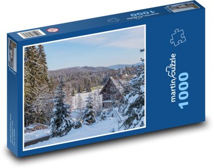 House in the forest - winter, train - Puzzle 1000 pieces, size 60x46 cm 