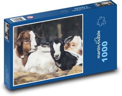 Ziegen - Jungtiere, Tiere - Puzzle - 1000 Teile