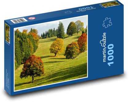 Jesienny las - liście, drzewa - Puzzle 1000 elementów, rozmiar 60x46 cm