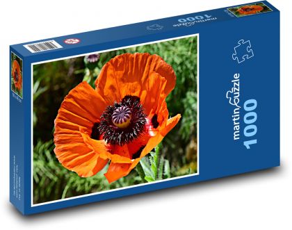 Mak - kvet, rastlina - Puzzle 1000 dielikov, rozmer 60x46 cm