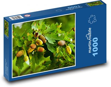 Žaludy - dub, strom - Puzzle 1000 dílků, rozměr 60x46 cm