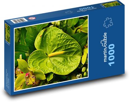 Anthurium - kvet, rastlina - Puzzle 1000 dielikov, rozmer 60x46 cm