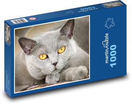 Domestic cat - animal, cat - Puzzle 1000 pieces, size 60x46 cm 