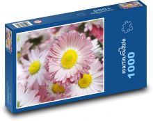 Stokrotki - kwiaty, ogród Puzzle 1000 elementów - 60x46 cm