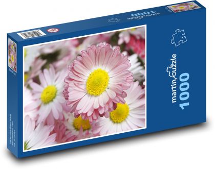Stokrotki - kwiaty, ogród - Puzzle 1000 elementów, rozmiar 60x46 cm