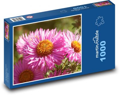 Ružové kvety - astry, rastliny - Puzzle 1000 dielikov, rozmer 60x46 cm