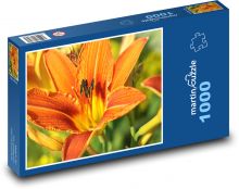 Oranžové lilie - květiny, rostliny Puzzle 1000 - 60x46 cm