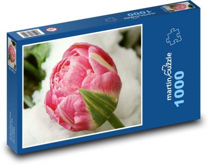 Rosa Tulpe - Blume, Frost - Puzzle - 1000 Teile