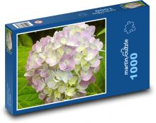 Květ hortenzie - rostlina, květina Puzzle 1000 - 60x46 cm