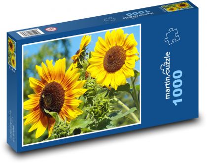 Slunečnice - žluté květiny, léto - puzzle 1000 dílků