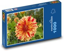 Jiřina - okvětní lístky, květ Puzzle 1000 dílků - 60 x 46 cm