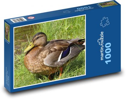 Duck - bird, animal - Puzzle 1000 pieces, size 60x46 cm 