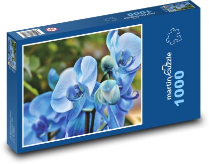 Blue orchid - flower, plant - Puzzle 1000 pieces, size 60x46 cm 