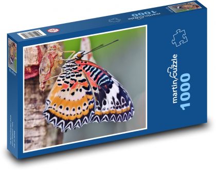 Tropický motýľ - hmyz, zviera - Puzzle 1000 dielikov, rozmer 60x46 cm