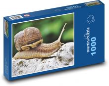 Slimák - mäkkýše, plazenie Puzzle 1000 dielikov - 60 x 46 cm 