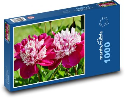 Pivoňka - kvet, jar - Puzzle 1000 dielikov, rozmer 60x46 cm