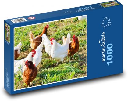 Huhn - Huhn, Geflügel - Puzzle - 1000 Teile