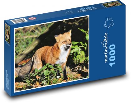 Liška - divoké zviera, predátor - Puzzle 1000 dielikov, rozmer 60x46 cm