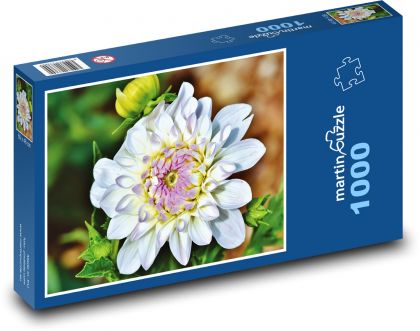 Jiřina - květ, zahrada - Puzzle 1000 dílků, rozměr 60x46 cm