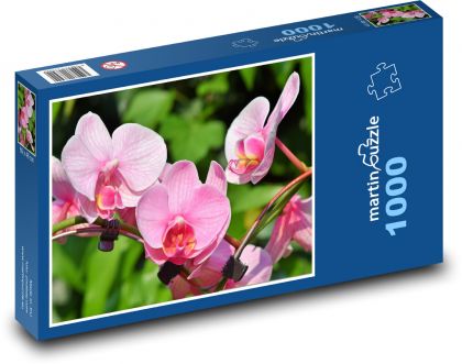 Orchid - pink flowers, plants - Puzzle 1000 pieces, size 60x46 cm 