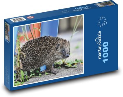 Ježek - divoké zvíře, savec - puzzle 1000 dílků