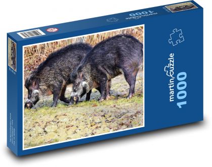 Divočák - divoké zvíře, prasnice - puzzle 1000 dílků