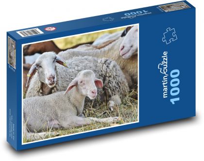 Sheep - lamb, young - Puzzle 1000 pieces, size 60x46 cm 