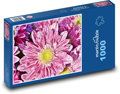 Astra - květina, rostlina - Puzzle 1000 dílků, rozměr 60x46 cm