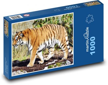 Tyger - velká kočka, dravec - Puzzle 1000 dílků, rozměr 60x46 cm