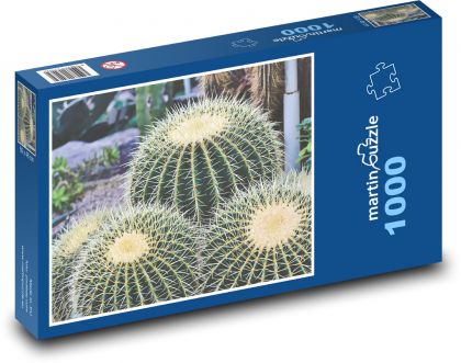 Kaktus - ciernie, kolczasty - Puzzle 1000 elementów, rozmiar 60x46 cm
