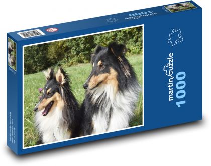 Shetland Shepherd - Hunde, Haustiere - Puzzle - 1000 Teile