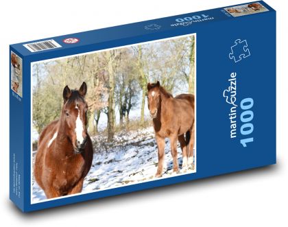 Pferde - Tiere, Schnee - Puzzle - 1000 Teile