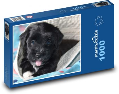 Pes - štěně, zvířata - puzzle 1000 dílků