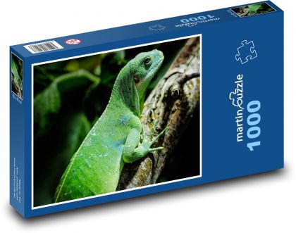 Iguana - jašterica, plaz - Puzzle 1000 dielikov, rozmer 60x46 cm