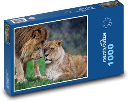 Lev a lvice - zvířata, Afrika  - Puzzle 1000 dílků, rozměr 60x46 cm