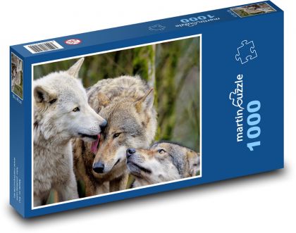 Šediví vlci - dravci, savci - Puzzle 1000 dílků, rozměr 60x46 cm