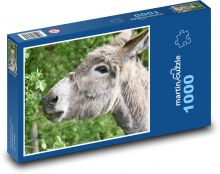Osel - zvíře, farma Puzzle 1000 dílků - 60 x 46 cm