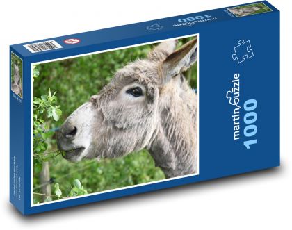 Donkey - animal, farm - Puzzle 1000 pieces, size 60x46 cm 