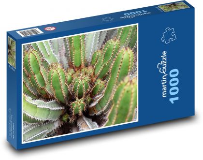 Kaktus - Stachelpflanze, Blume - Puzzle - 1000 Teile