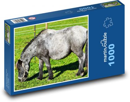 Poník - malý kôň, hriva - Puzzle 1000 dielikov, rozmer 60x46 cm