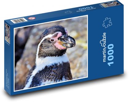 Pinguin - Wasservogel, Tier - Puzzle - 1000 Teile